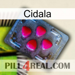 Cidala 13